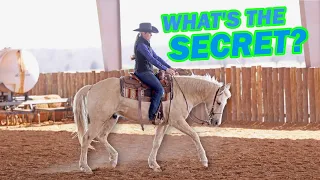 Teach your horse COLLECTION | Part 1 - The Fundamentals