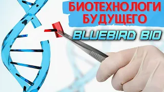 Акции Bluebird bio: обзор, анализ компании. Стоит ли покупать акции bluebird? Биотех будущего?