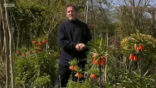 Monty Don's Real Gardens🍀Episode 3