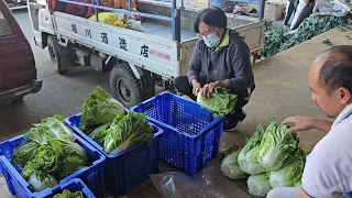 Shipment adjustment of highland vegetables by humidifying refrigeration system (PP2B)