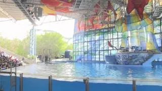 Azul at SeaWorld San Antonio - Full HD Show