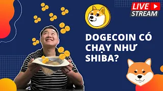 DOGE coin có chạy như Shiba Inu? Lấy nón hứng coin, bao nhiêu cho đủ!