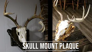 DIY Skull Mount Plaque - Arrowhead style