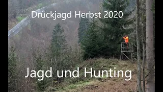 Drückjagd Herbst 2020, Wild boar driven hunt 2020.