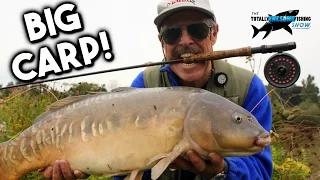 Even Bigger Carp on the Fly! | TAFishing