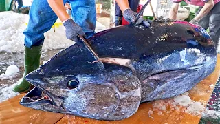 Kecepatan potong tercepat！Potongan tuna sirip biru raksasa dalam 5 menit,mata tuna rebus