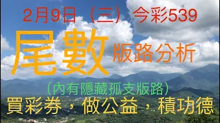 今彩539｜尾數｜牛哥539｜2022年2月9日（三）今彩539尾數版路分析內含隱藏孤支版路｜#539 （🎉恭喜上期尾數：8尾，順利開出🎉）