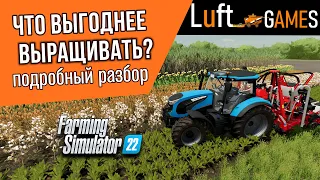 Что выгоднее выращивать в Farming Simulator 22? | подробный разбор