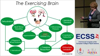 Dehydration and Exercise – Cerebrovascular Control and Orthostatic Tolerance - Prof. Rickards