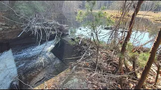 Dam Removal in the Merrimack River Watershed