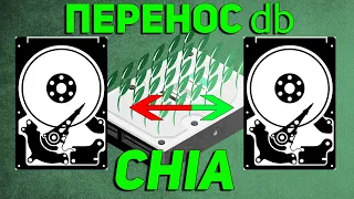 Как перенести базу данных Chia на другой диск. Перенос DB Chia.