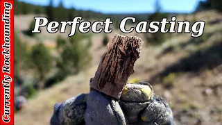 Agate Limb Casts // Rockhounding in Central Oregon at Congleton Hollow