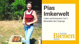 Pias Imkerwelt: Teilen und behandeln Teil 2 - Behandeln des Fluglings