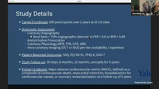 Seeing the Invisible: Ischemia and No Obstructive Coronary Artery Disease