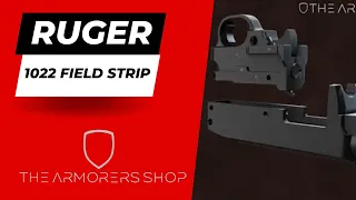 Ruger 1022 Field Strip