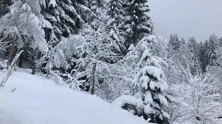 Зимнее Австрийское утро