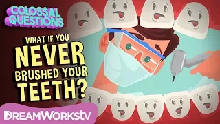 What If You NEVER Brushed Your Teeth? | COLOSSAL QUESTIONS