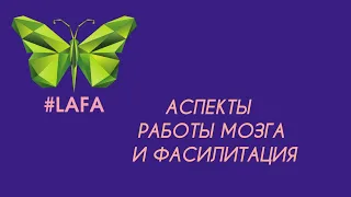 АСПЕКТЫ РАБОТЫ МОЗГА И ФАСИЛИТАЦИЯ «Азбука фасилитации»