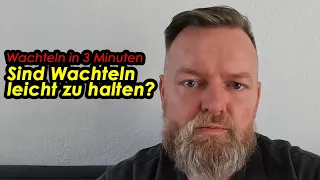 Sind Wachteln leicht zu halten? #Wachtelnin3Minuten erklärt von der Wachtelfarm Hettstedt