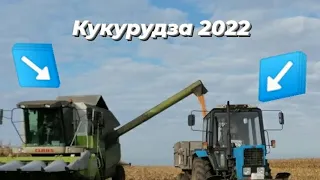 кукурудза 🌽🌽 2022 slaas 850 slaas medion 310 slaas mega 350 mtz 82.1х3 mtz 2022.3