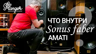 Что внутри Sonus Faber Amati? Сравнение с ALLB Music Tower 10.2 Valentina.