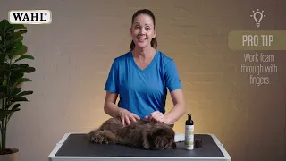 Easy Waterless Cat Shampoo