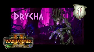 Total War: Warhammer 2 Drycha Mortal Empires #1 "Of Rats and Men"