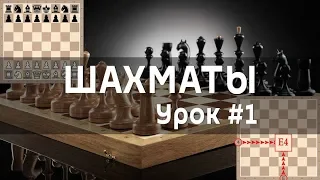 ШАХМАТЫ | Урок #1 | Знакомство с игрой