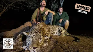 Thrilling Tanzania Leopard Hunt