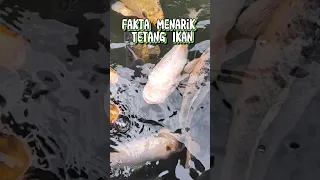 Fakta Menarik Tentang Ikan #shorts #faktamenarik