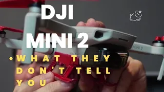 DJI Mini 2 and What They Don't Tell You #djimini2 #falconDrone #exodrones