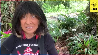 BUFFY SAINTE-MARIE- STILL THIS LOVE GOES ON- Get Lit with All of It 12/02