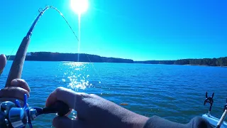 The Absolute BEST Method To Catching BIG Lazy Winter Blue Catfish.