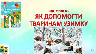 ЯДС 1 клас  УРОК 46 ЯК ДОПОМОГТИ ТВАРИНАМ УЗИМКУ