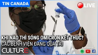 🔴 Trực Tiếp TIN CANADA 09/01 | Các công ty Canada ở nước ngoài bị điều tra vì tham nhũng