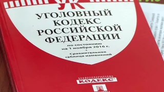 Женщину, обманувшую банки на двести двадцать миллионов рублей, могут освободить по УДО