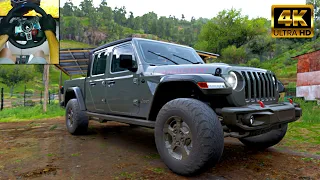 Jeep Gladiator Rubicon 2020 - Forza Horizon 5 - Logitech G29 Steering Wheel Gameplay