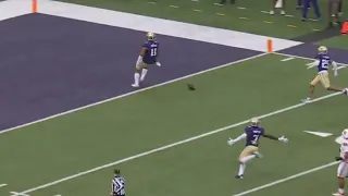 Washington player drops the ball early before scoring TD vs Utah /Washington player dropped the ball