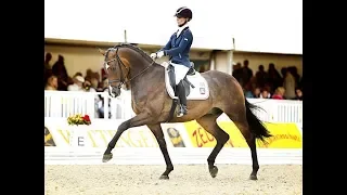 Equestrian video music //Dressage - Move Your Body