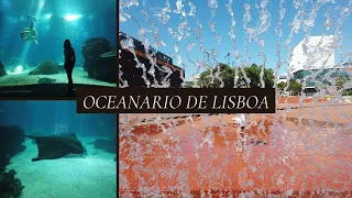 Oceanario de Lisboa | Aquarium Lisbon | Walking tour