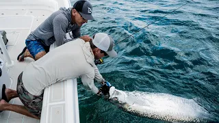 Unfathomed - Tarpon and Snook Fishing in SW Florida