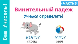 Винительный падеж. Как определить винительный падеж?