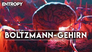 Boltzman-Gehirn | Existieren Menschen wirklich?