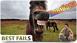 Смешные ПРИКОЛЫ 2015 Coub & Vine # 43 Funny video Best fails Подборка смешных видео