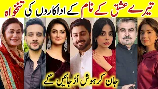 Tere Ishq Ke Naam Drama Cast Salary Last Episode 34 Tere Ishq Ke Naam All Cast Salary #UsamaKhan #sa