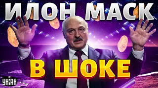 Ого! Лукашенко затмил Маска: Илона публично втоптали в грязь. Назревает скандал?