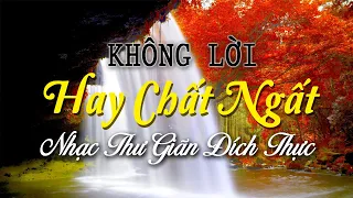 Nhạc Không Lời Hay Chất Ngất, Hòa Tấu Guitar & Saxophone Thư Giãn Đích Thực, Nhạc Buổi Sáng An Yên