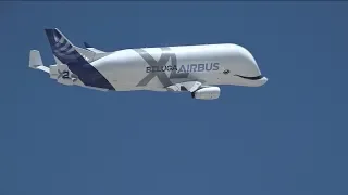 Así es el nuevo Airbus Beluga XL