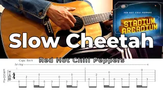 Slow Cheetah Red Hot Chili Peppers Guitar Cover with TAB
