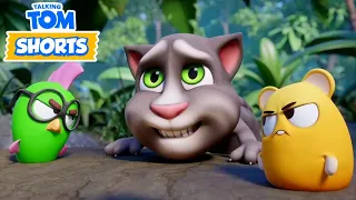 Talking Tom - Hide and Seek Challenge 🫣 Cartoon for kids Kedoo Toons TV